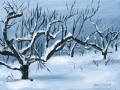 Quiet Orchards