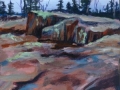 Lichens at Artists Point
